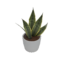 plant